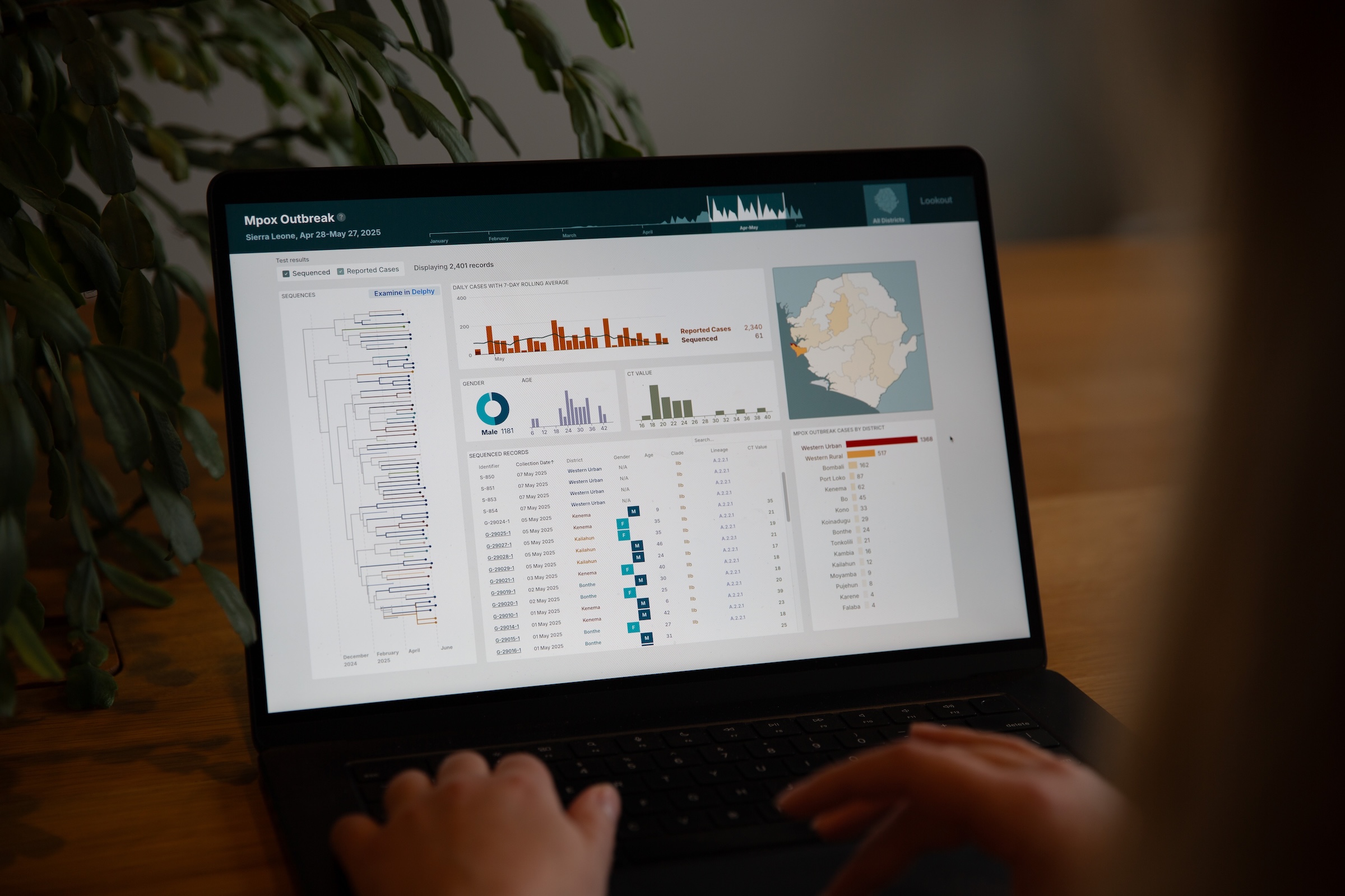 A laptop showing the Mpox Outbreak dashboard for Sierra Leone, with a phylogenetic tree, a case chart and a district map