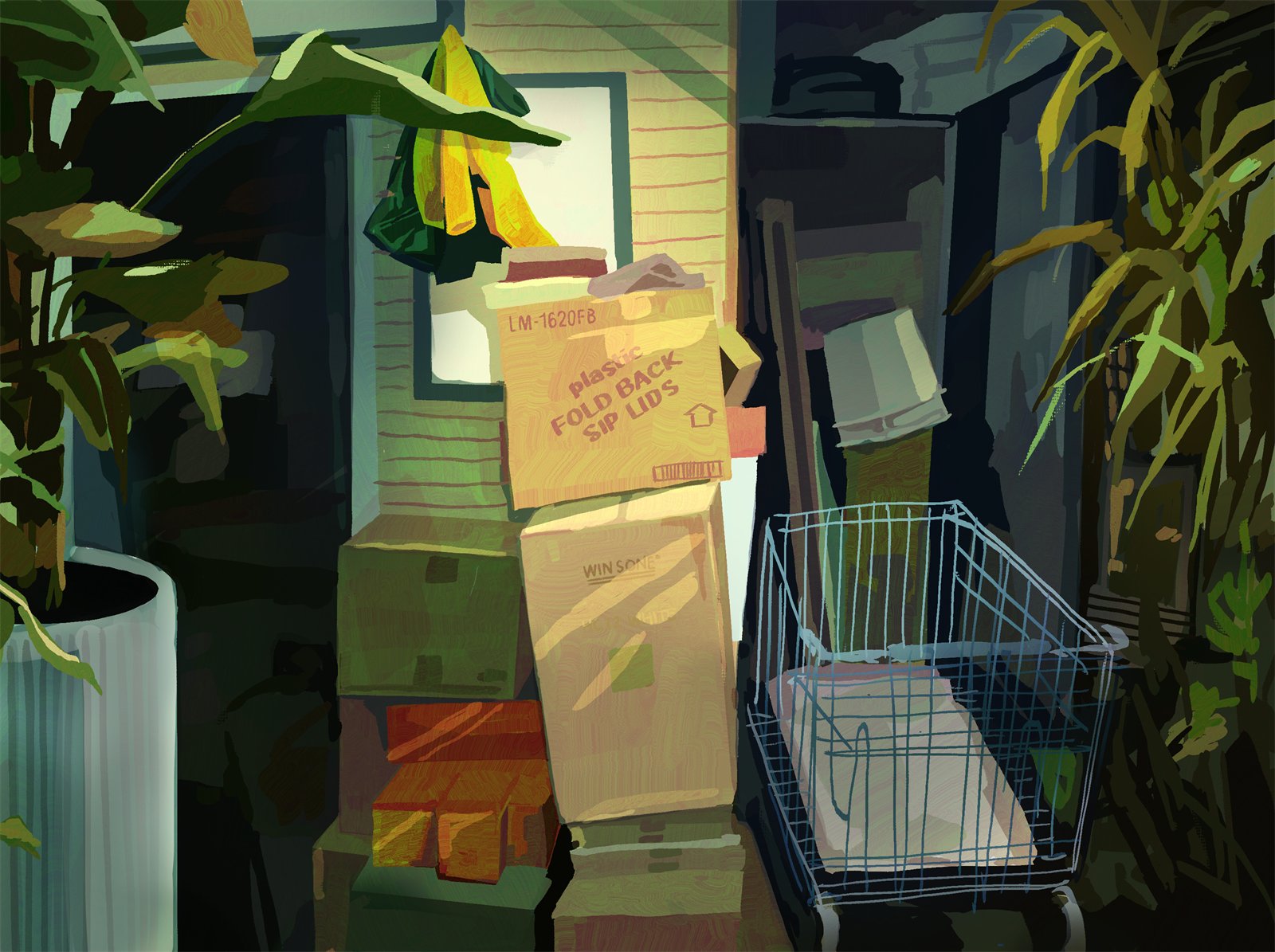 Back of a Plant Store