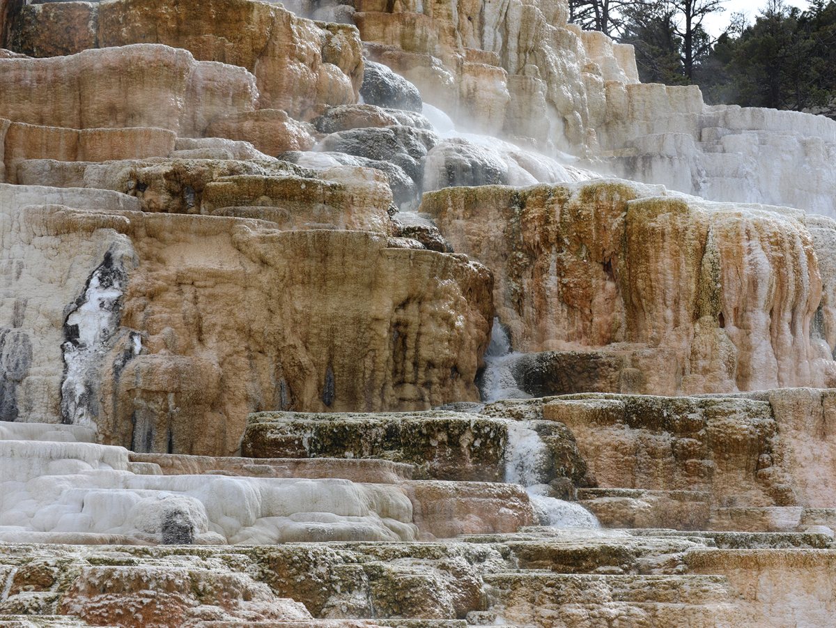 Yellowstone landscape